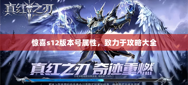 惊喜s12版本号属性，致力于攻略大全  第2张